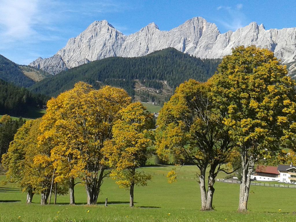 Apartment Oesterreich Ramsau am Dachstein Szoba fotó