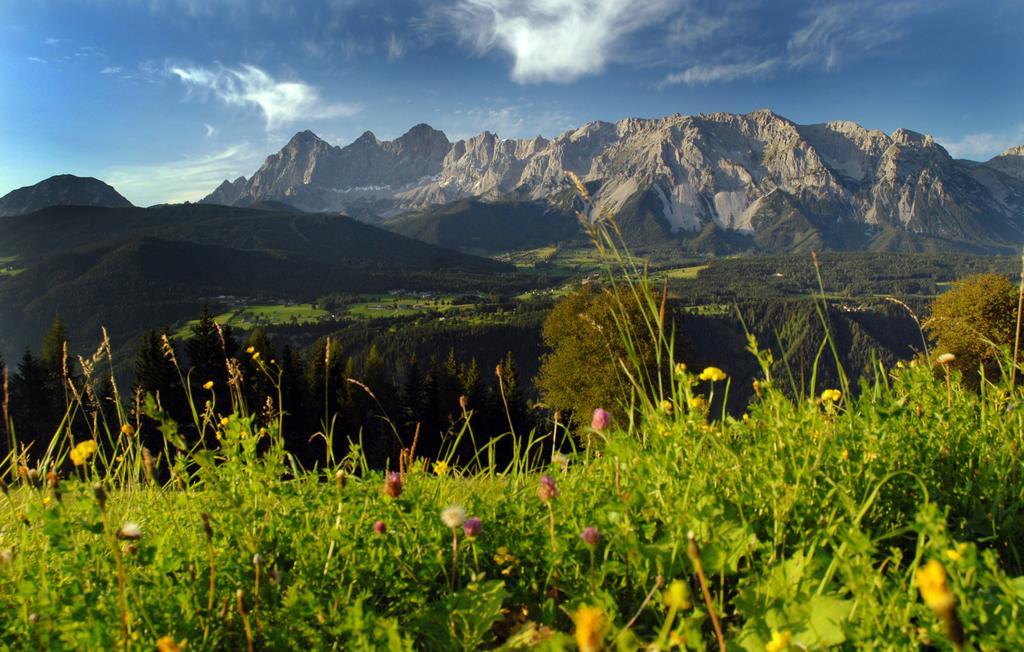 Apartment Oesterreich Ramsau am Dachstein Szoba fotó